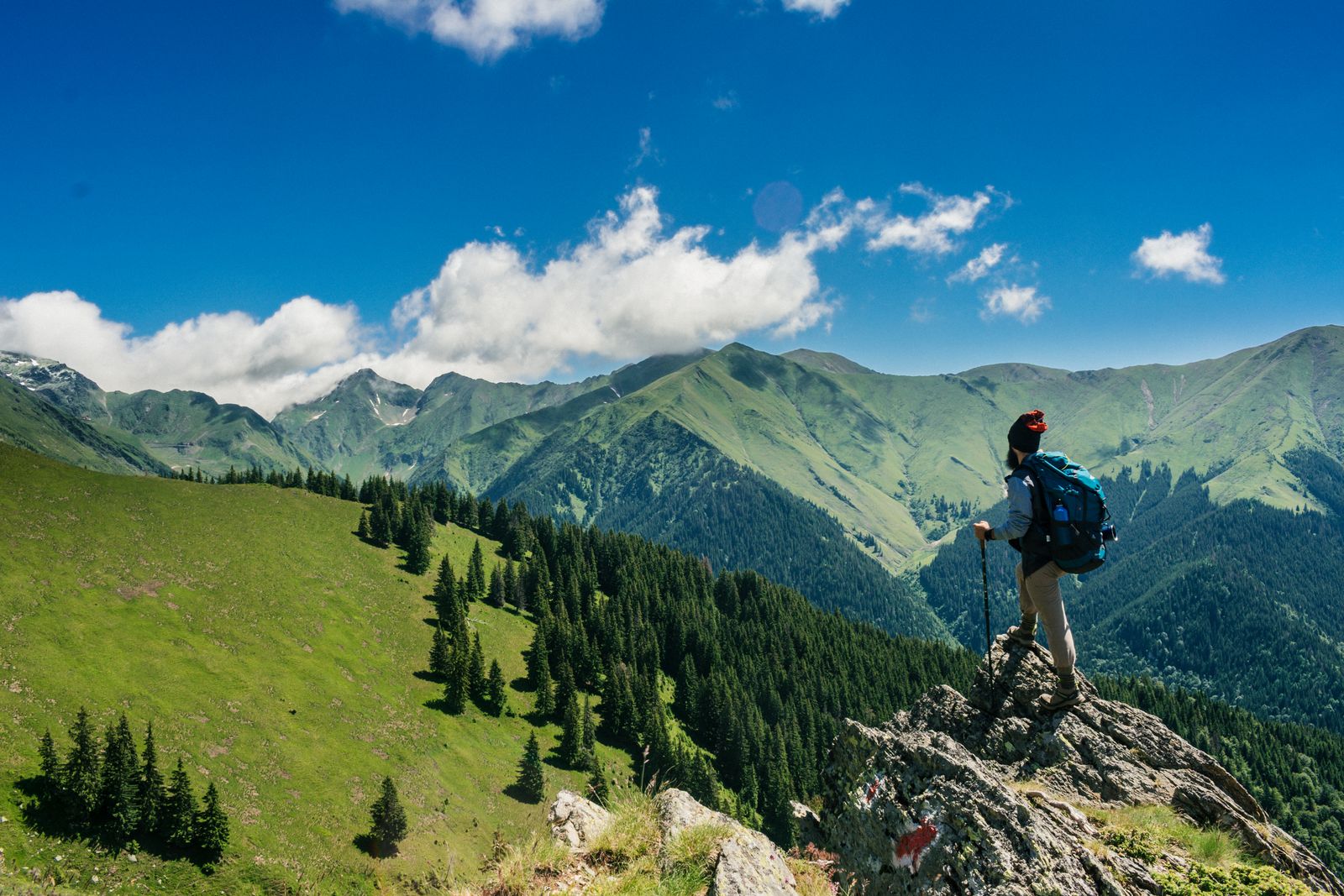 Forest trail suitable for mountain biking